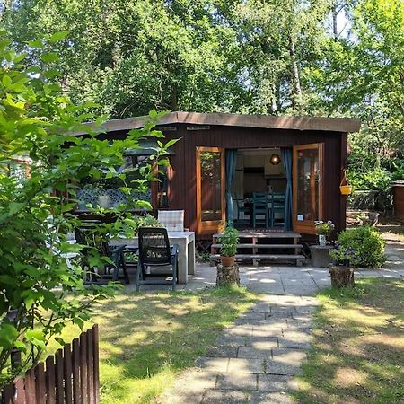 Sfeervol Chaletje In Een Rustige Bosrijke Omgeving Diessen Exterior foto