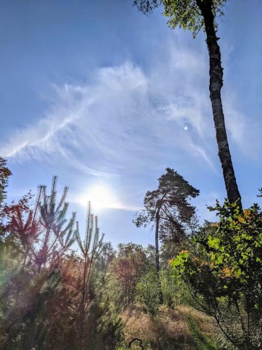 Sfeervol Chaletje In Een Rustige Bosrijke Omgeving Diessen Exterior foto