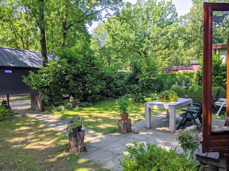 Sfeervol Chaletje In Een Rustige Bosrijke Omgeving Diessen Exterior foto
