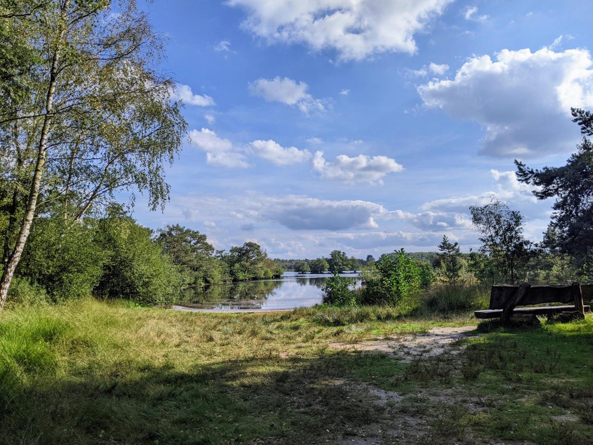 Sfeervol Chaletje In Een Rustige Bosrijke Omgeving Diessen Exterior foto