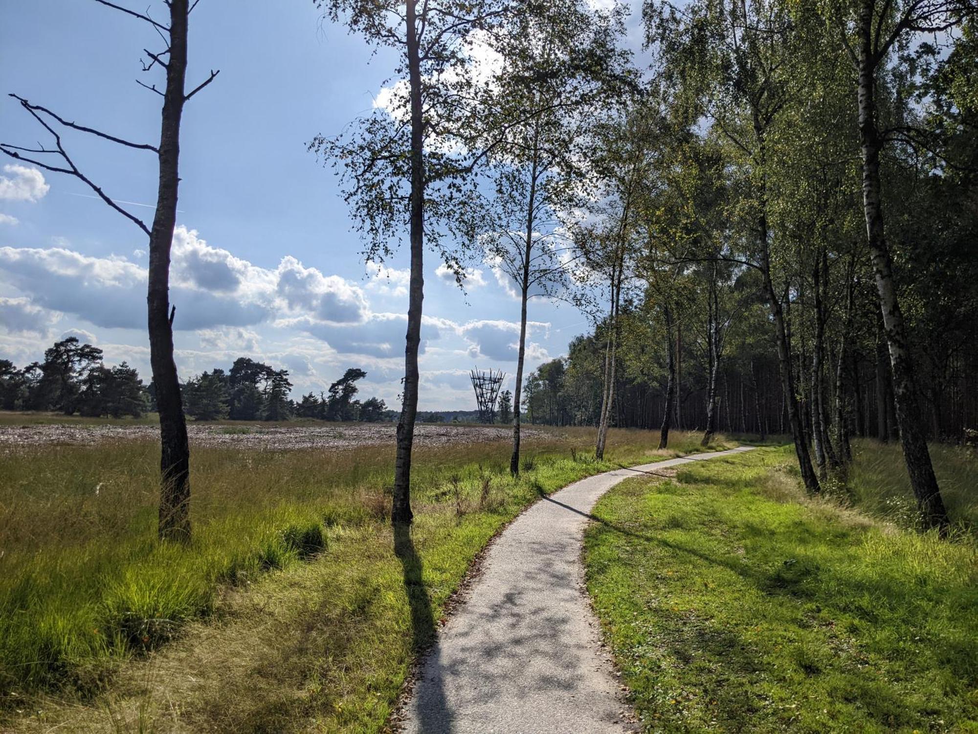 Sfeervol Chaletje In Een Rustige Bosrijke Omgeving Diessen Exterior foto